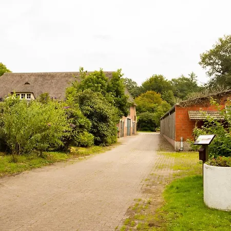 Campismo de Luxo Het Boshuis *
