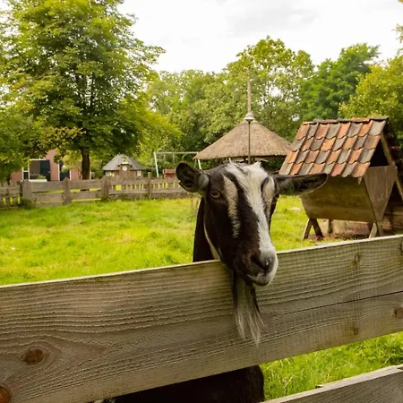 Campismo de Luxo Het Boshuis Vierakker